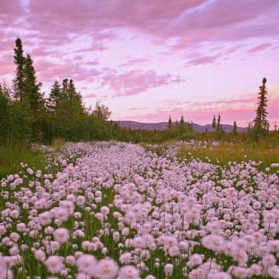 beat365中国在线体育下载手机版